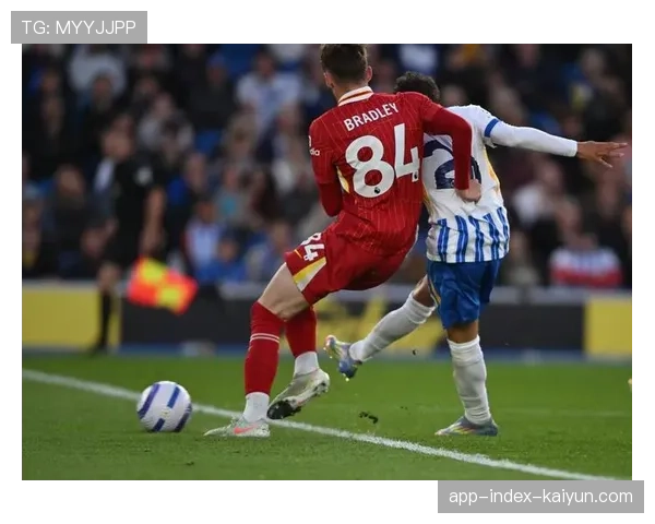 布莱顿范黑克解围数据突出，中卫组合成功限制利物浦高空球